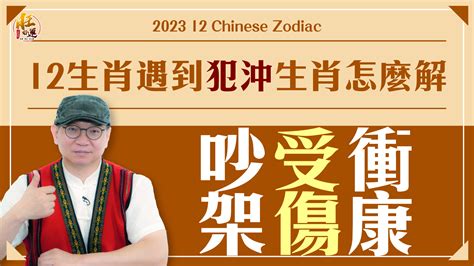 生肖對沖|【生肖衝合】生肖相沖相合一覽表：化解犯沖、招引貴人好運滾滾。